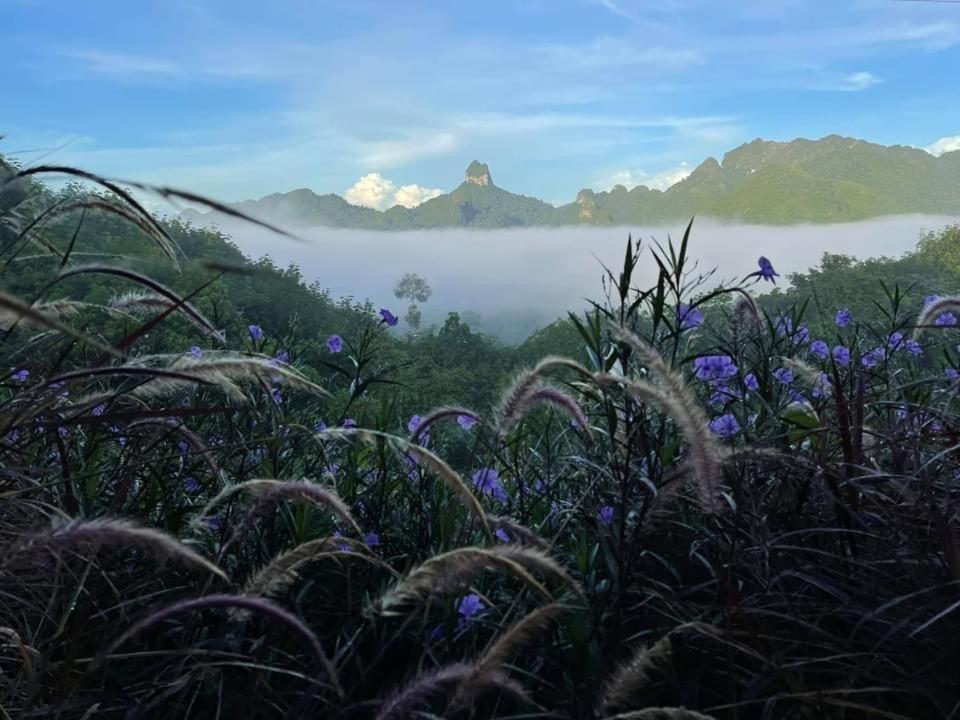 Por Sampao Camp&Resort Ban Pha Saeng Lang Экстерьер фото